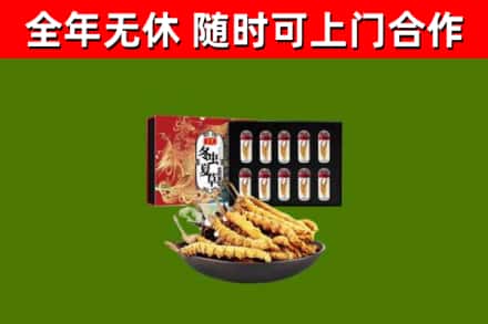 徐汇烟酒回收冬虫夏草礼盒.jpg